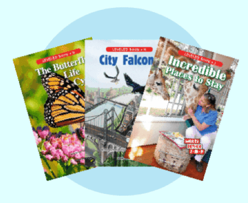 Preview main textbook